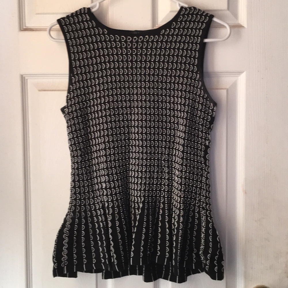 Matching Ann Taylor shirt and skirt set